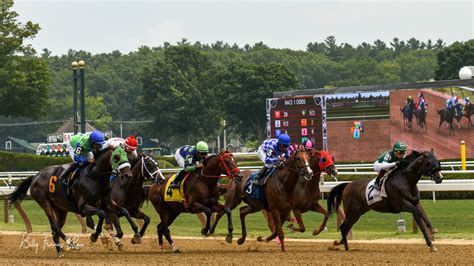 saratoga entries|saratoga entries 2022.